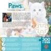 MasterPieces Inc Purrfectly Adorable 300 Piece Large EZ Grip Jigsaw Puzzle -Games and Puzzles Shop GUEST 1d64e1c1 4233 44de b3ea 00a750d866a9