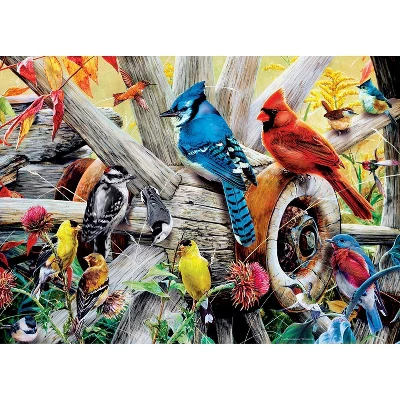 MasterPieces Inc Backyard Birds 1000 Piece Jigsaw Puzzle 4 MasterPieces Inc Backyard Birds 1000 Piece Jigsaw Puzzle - Image 2