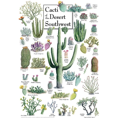 MasterPieces Inc Cacti Of The Desert Southwest 1000 Piece Linen Jigsaw Puzzle 4 MasterPieces Inc Cacti Of The Desert Southwest 1000 Piece Linen Jigsaw Puzzle - Image 2