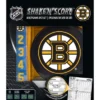MasterPieces Officially Licsenced NHL Boston Bruins Shake N' Score Dice Game For Age 6 And Up -Games and Puzzles Shop GUEST a77bb5a3 a952 497a 9264 7db90cff6b4b