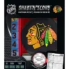 MasterPieces Officially Licsenced NHL Chicago Blackhawks Shake N' Score Dice Game For Age 6 And Up -Games and Puzzles Shop GUEST e144feae c1a6 4c4b 9f49 3f295247bb40